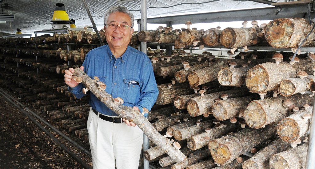 原木しいたけ栽培の先駆者 飯泉 孝司