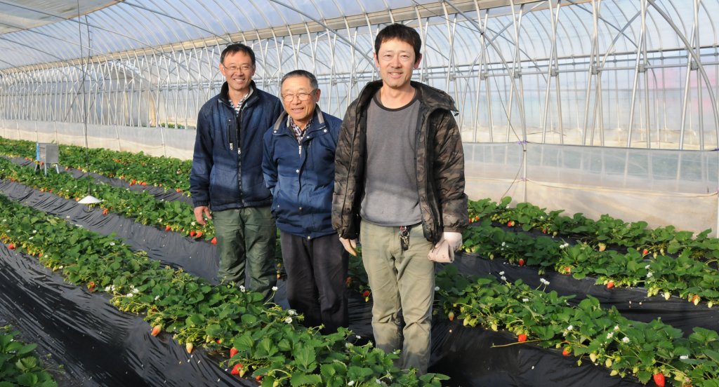 柳田農園 柳田 栄一さん、浩一さん、和也