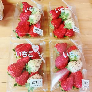 ひぐまのおかし屋さん　いちご販売1