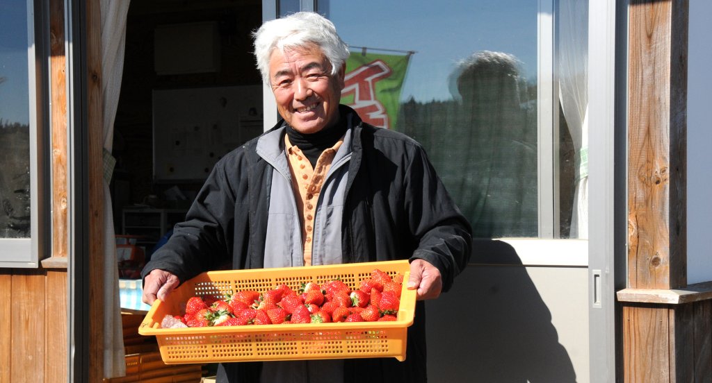 茨城いちごグランプリ 大賞受賞！ 谷中 正一