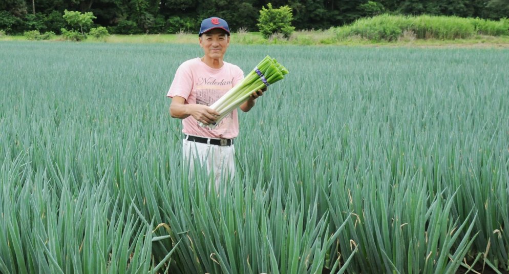 JAつくば市ねぎ生産者　石塚 広和さん