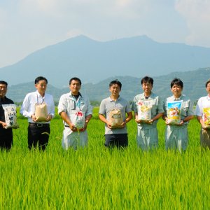 茨城県 県南地域「地域オリジナル米」販売促進協議会