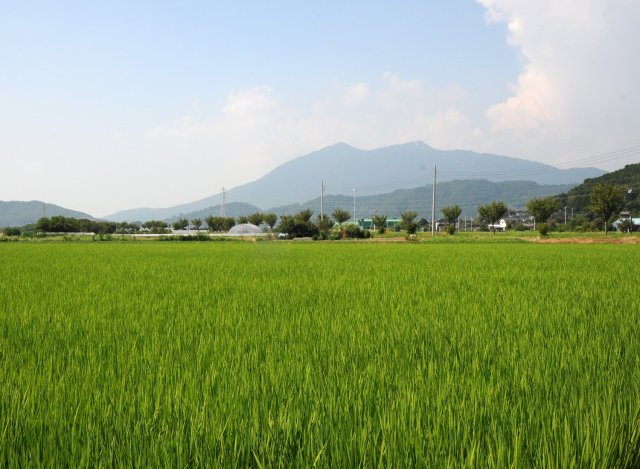 筑波農場　田園