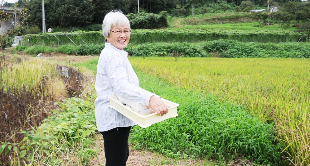 さわらや農園　橋本 和子さん