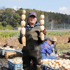 JA水郷つくば 蓮根部会霞ヶ浦支部 部会長