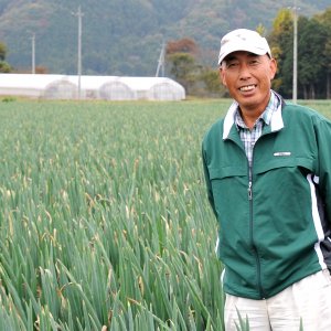 奥久慈ねぎ銘柄推進協議会　JA常陸大宮地区ねぎ部会