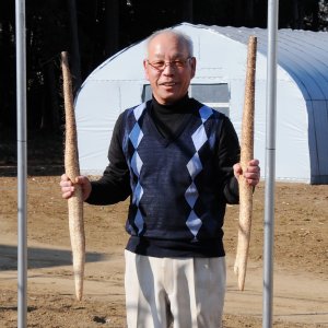 自然薯の荒井農産