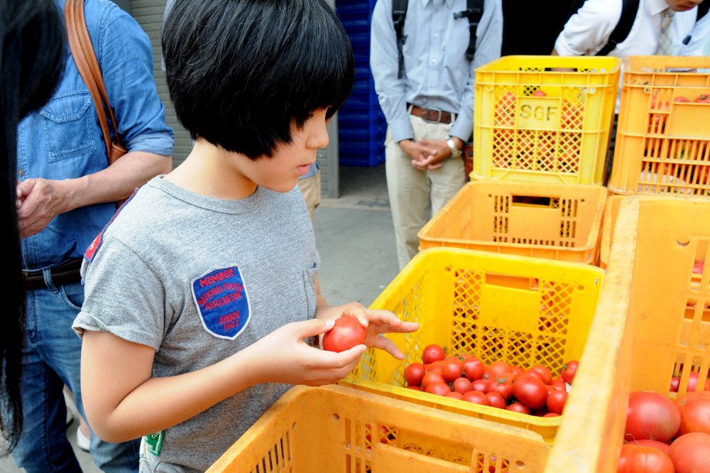 「チェック模様のような傷のあるトマトが、実はおいしいんです」と湊くん。