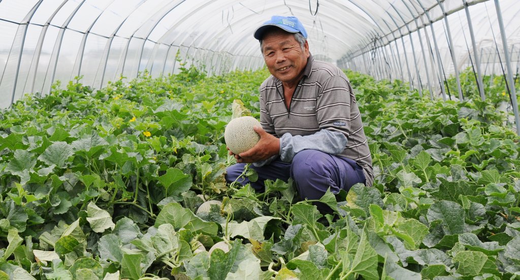 「安心」と「おいしさ」にこだわるメロン作り 石川 峯男