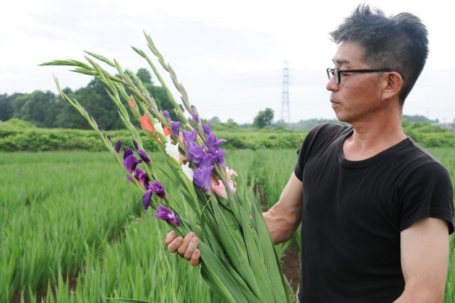 グラジオラスと萩島さん