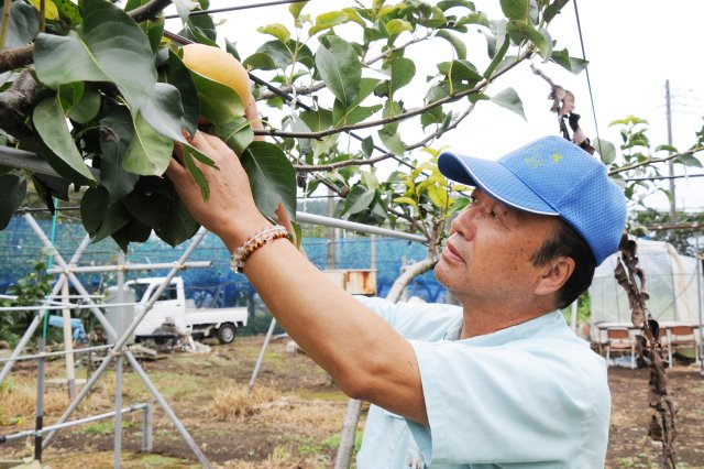 岡野 孝雄さん