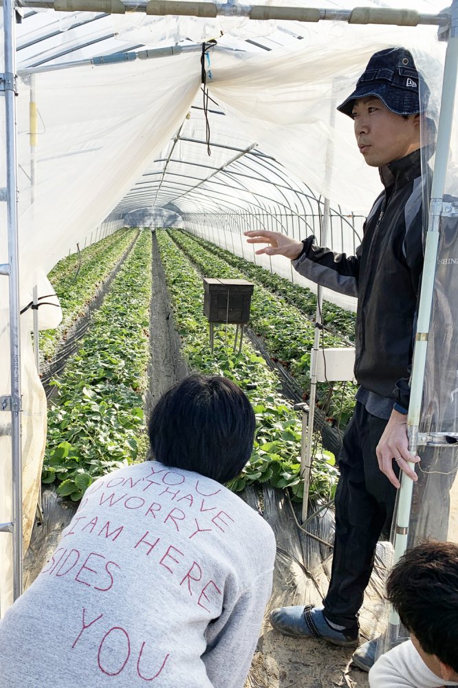 「農業は家業と言われるように、家族と一緒にいる時間が増えることに魅力を感じている。（会社員の時は子供が起きている時間に帰れず、平日は顔が見られなかった）」と彦田さん。