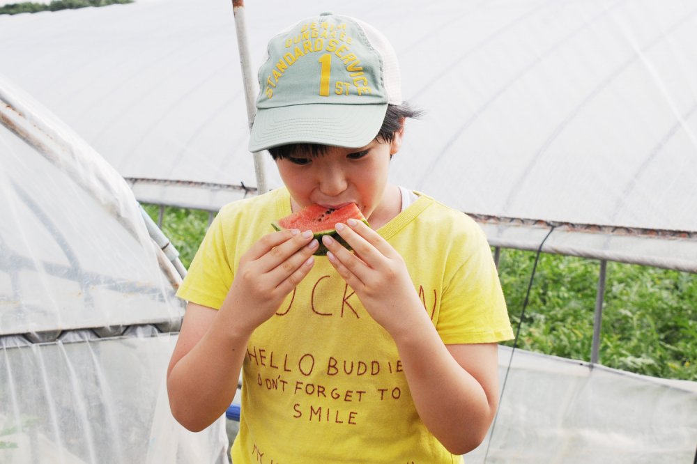 こだますいかを試食。「甘みが濃い！！！はちみつを入れたんじゃないかっていう甘さ。 シャリッとしていてものすごくみずみずしいですね！！」