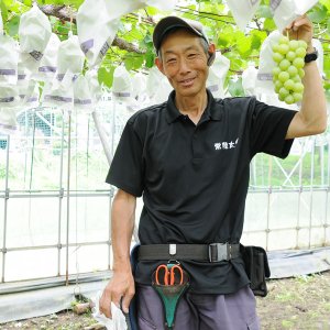 JA常陸　常陸太田ぶどう部会