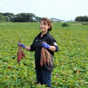 米川農園「佐之衛門の焼き芋」