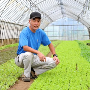 有機農作物専門店　石田農園