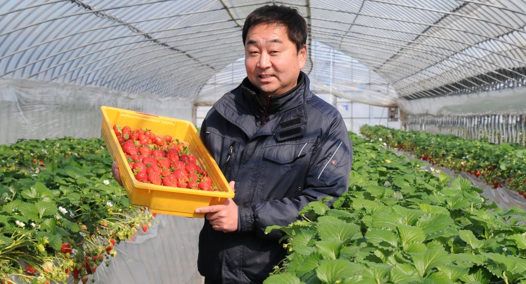 農業法人有限会社 大地 吉原 将成