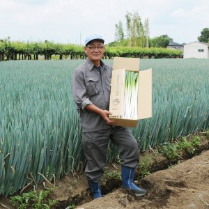 JA北つくば 関城ねぎ部会