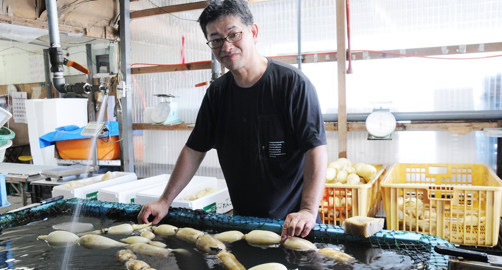 JA新ひたち野 蓮根部会玉里支部　西村哲也さん