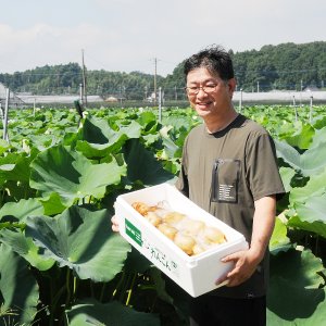 JA新ひたち野 蓮根部会玉里支部　西村哲也さん（小美玉市）