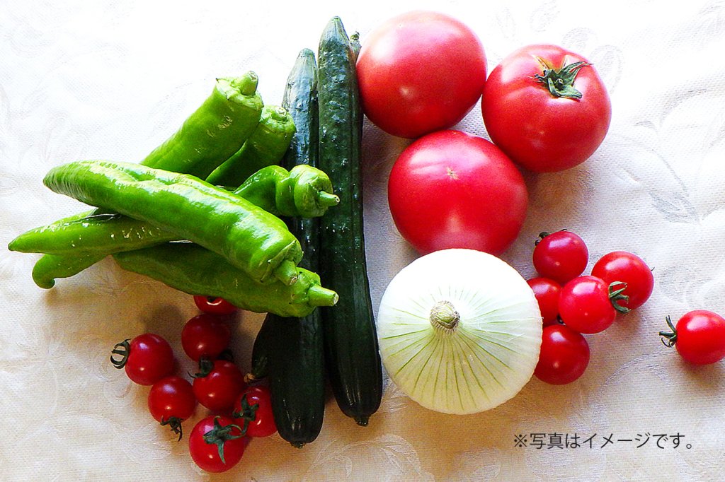 第478回プレゼント企画　 茨城県野菜養液栽培研究会【野菜セット】