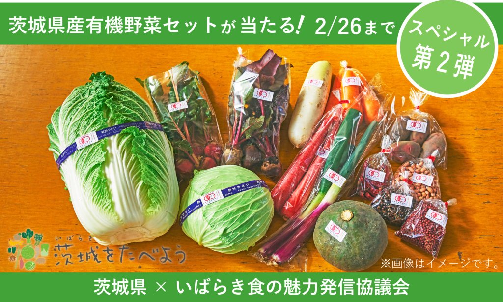 茨城県×いばらき食の魅力発信協議会 スペシャルキャンペーン第2弾【茨城県産有機野菜セット】