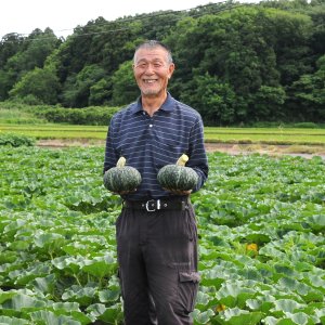 JA常陸 那珂地区かぼちゃ生産部会