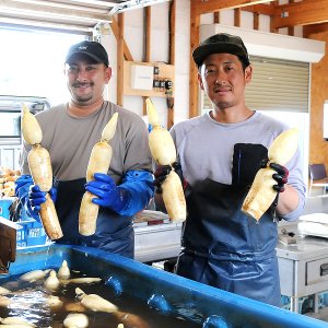 小原 健児さん　出頭 大祐さん（鹿嶋市）