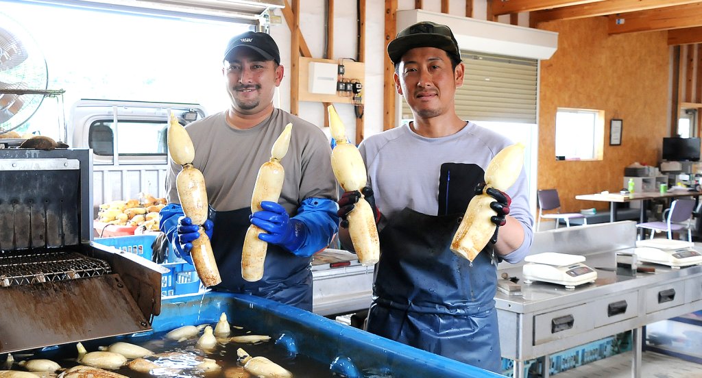 太助レンコン園×Nine'sFarm　JAなめがたしおさい れんこん部会 小原 健児さん　出頭 大祐