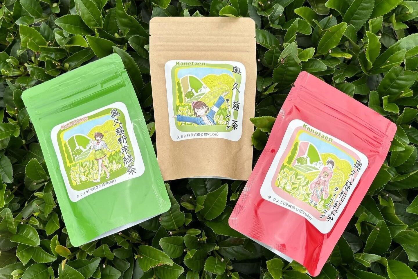 第578回プレゼント企画 かねた園【奥久慈茶&和紅茶セット】
