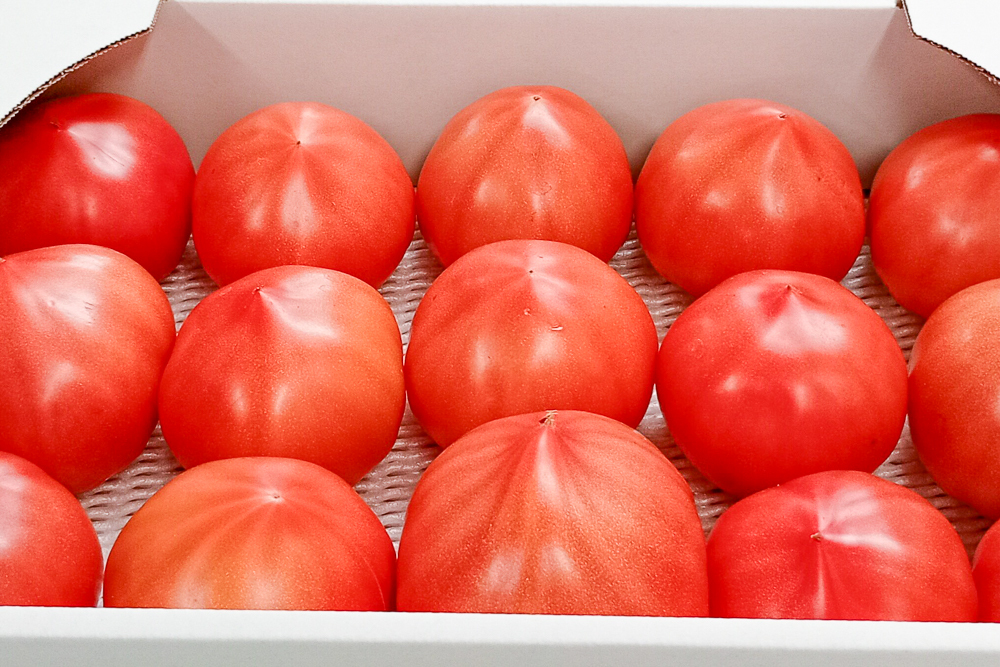 　茨城県施設園芸研究会【レディーファースト】