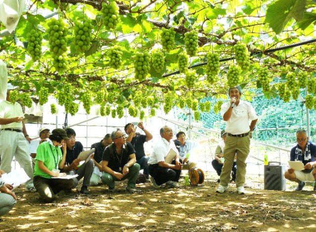 茨城県ぶどう連合会　講習会の様子