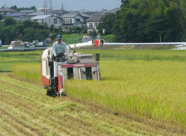 ふくまるの田んぼ