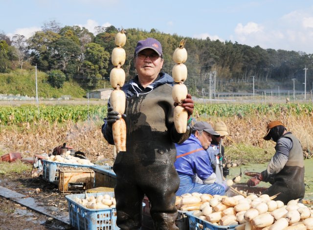 A土浦 蓮根部会霞ヶ浦支部 部会長の江後田さん