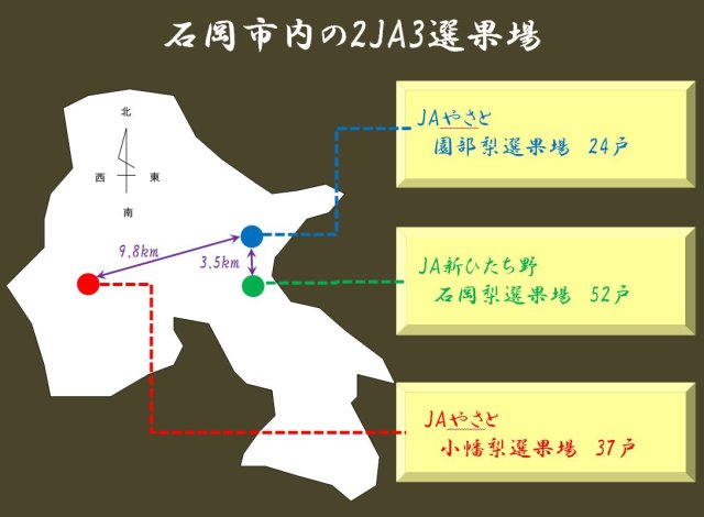 石岡市ありのみ協議会組織図