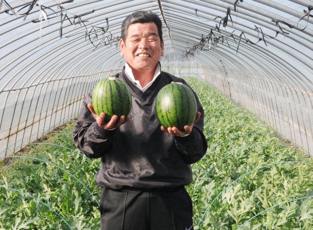 JA北つくばこだま西瓜部会　筑西市　下条藤夫さん 