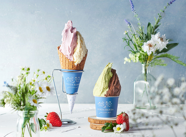 SENDA BANDAイメージ