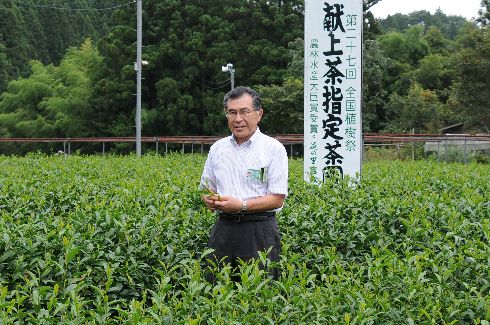 急須でいれるお茶の再興を願って！