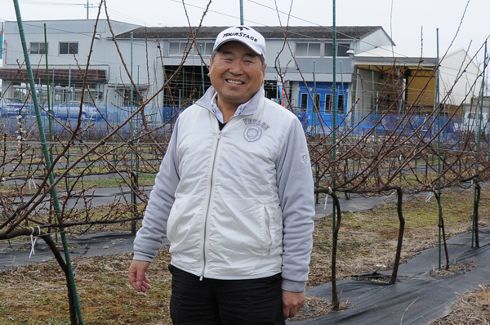 観るだけじゃない！水戸の梅産地づくり