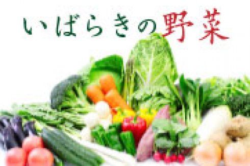 【特集】 野菜王国！いばらきの野菜