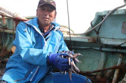 脂の旨みがたっぷり！食べ方自在の深海魚「メヒカリ」