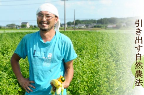 在来種を自然農法で育てる