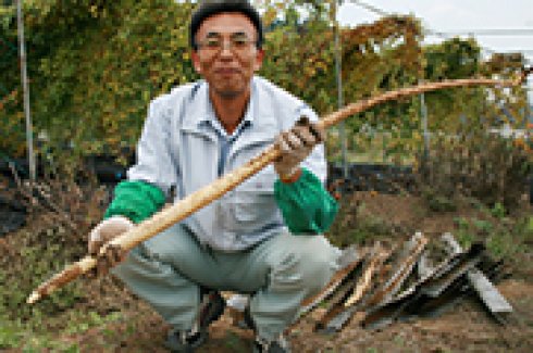 健康な食べ物で健康な体を作る