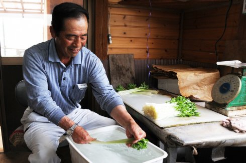 JA茨城みなみ谷和原みつば部会