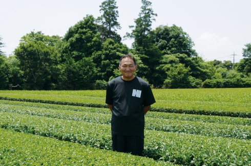 澤田茶園