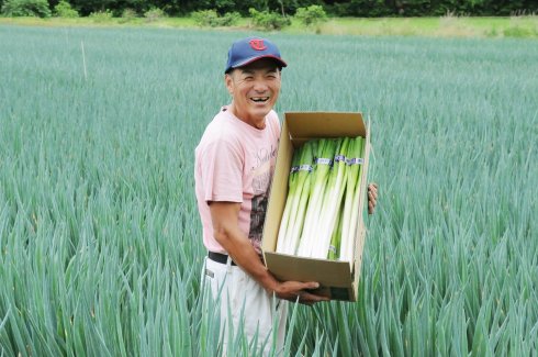 JAつくば市　茎崎ねぎ部会