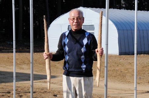 自然薯の荒井農産