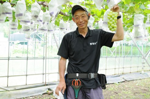 JA常陸　常陸太田ぶどう部会