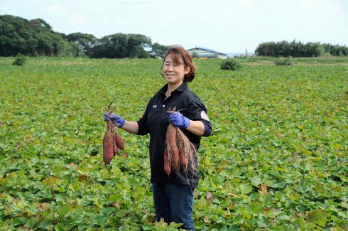 米川農園「佐之衛門の焼き芋」