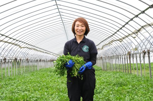 有限会社 三国園 代表取締役 内海 真理子さん（筑西市）